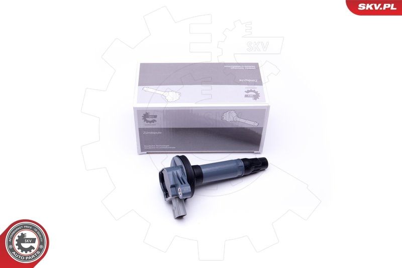 ESEN SKV Bobine 03SKV271 ESEN SKV 03SKV271 Ontstekingsspoel Ford Explorer U2 prijs