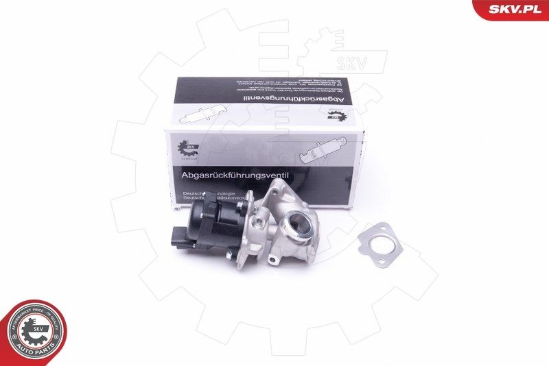 ESEN SKV EGR-ventil 14SKV202 14SKV202 Agr ventil FORD B-MAX ESEN SKV