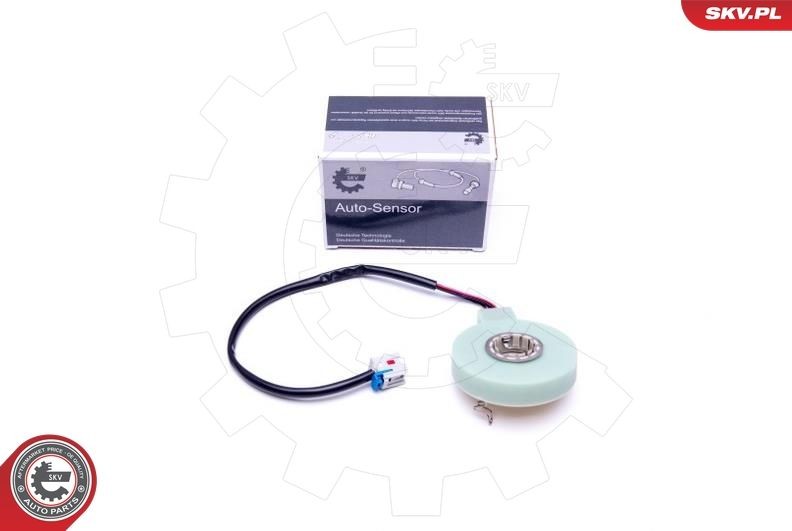 ESEN SKV Steering Angle Sensor 17SKV473 ESEN SKV 17SKV473 Opel Combo D Box Body steering angle sensor cost