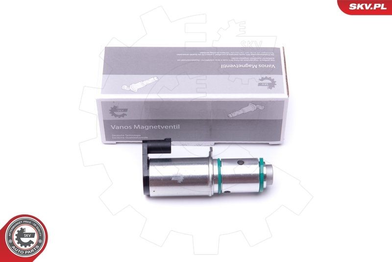 ESEN SKV Regelklep, nokkenasregeling 39SKV044 ESEN SKV 39SKV044 Regelklep, nokkenasregeling Volvo S60 2 goedkoop