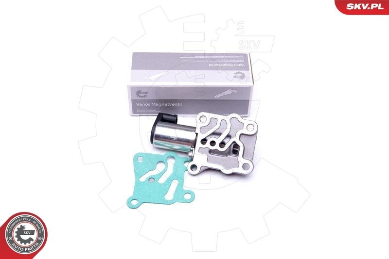 ESEN SKV Regelklep, nokkenasregeling 39SKV046 ESEN SKV 39SKV046 Regelklep, nokkenasregeling Kia SORENTO originele