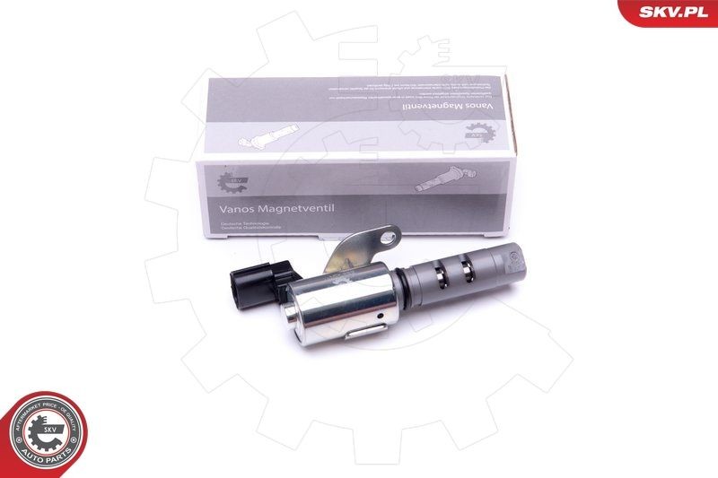 ESEN SKV Valvola di comando per regolazione albero a camme 39SKV057 ESEN SKV 39SKV057 Valvola di comando per regolazione albero a camme FIAT REGATA originali