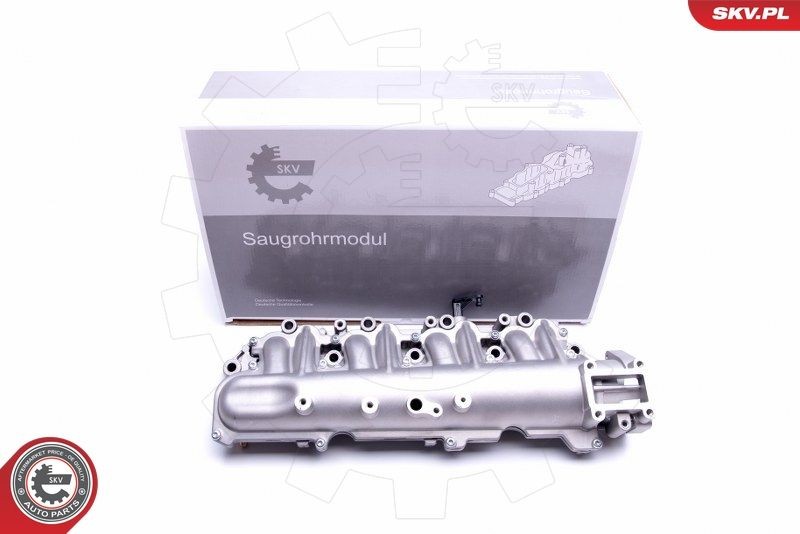 Collettore di aspirazione ESEN SKV 49SKV029 ESEN SKV 49SKV029 Collettore di aspirazione Fiat STILO 2010