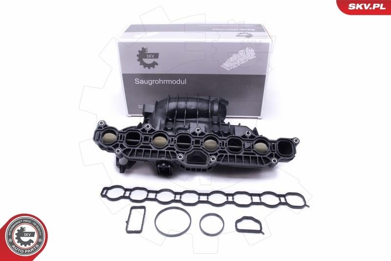 Collecteur d'admission ESEN SKV 49SKV030 ESEN SKV 49SKV030 Tubulure d'admission CHRYSLER PT CRUISER 2009