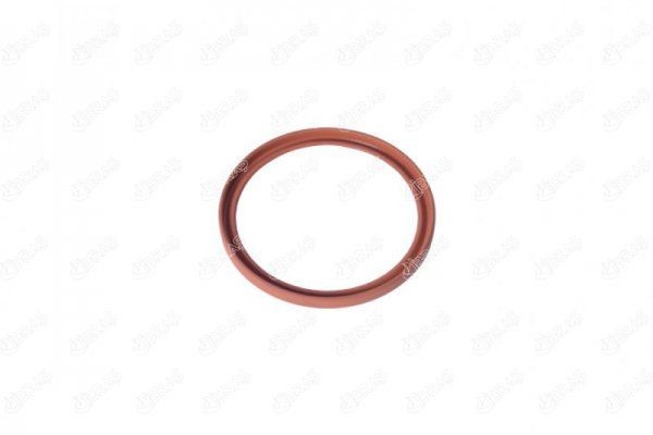 IBRAS Retentor, tubo do ar de sobrealimentação 11477 11477 Retentor, tubo do ar de sobrealimentação TESLA MODEL 3 IBRAS