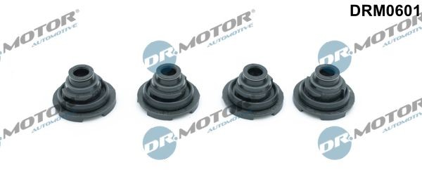DR.MOTOR AUTOMOTIVE Tesnenie veka hlavy valcov DRM0601 DR.MOTOR AUTOMOTIVE DRM0601 Tesnenie veka ventilov Nissan Pixo UA0 cena
