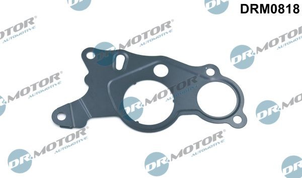 DR.MOTOR AUTOMOTIVE Guarnizione, Pompa depressione DRM0818 DR.MOTOR AUTOMOTIVE DRM0818 Pompa depressione freni VW Crafter 30-35 prezzo