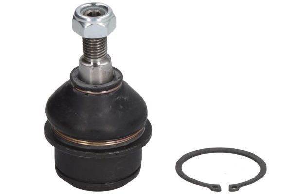 Fuseekogel REINHOCH RH03-6009 REINHOCH RH03-6009 Kogel, fusee DODGE JOURNEY 2017