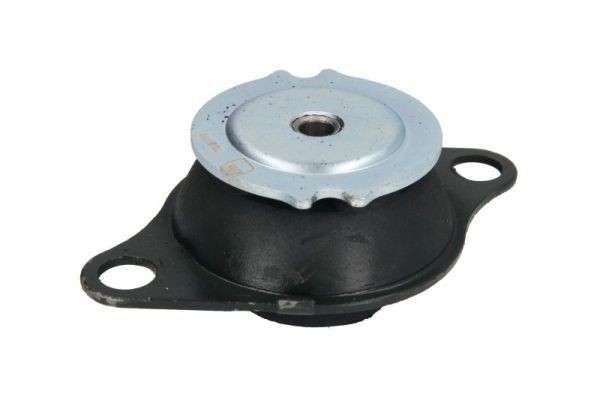 Motorkudde REINHOCH RH11-1020 REINHOCH RH11-1020 Motorbussning FIAT PALIO 2004