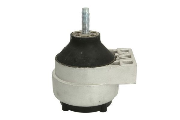 REINHOCH Suporte, motor RH11-4007 REINHOCH RH11-4007 originais Apoios de motor Ford Transit Connect mk1 custo