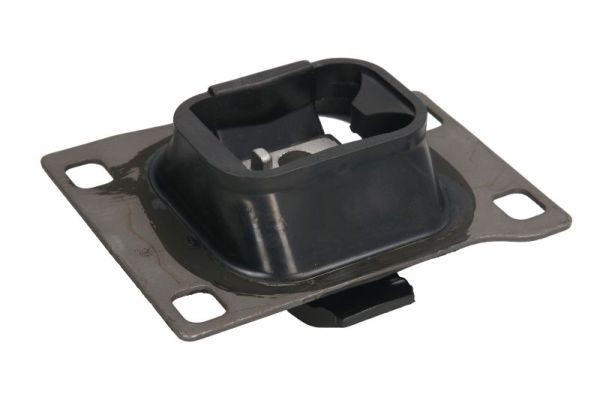 REINHOCH Ophængning, manuel gearkasse RH11-4010 REINHOCH RH11-4010 Ford Transit Connect mk1 Gearkasseophæng originale pris