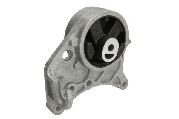 Paigutus, Mootor REINHOCH RH11-6009 REINHOCH RH11-6009: Mootoripadi Dodge CARAVAN 2013