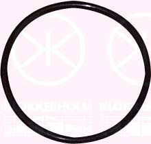 KLOKKERHOLM Tiiviste, tankin anturi 00540092 00540092 KLOKKERHOLM Tiiviste, tankin anturi BMW 6-sarja