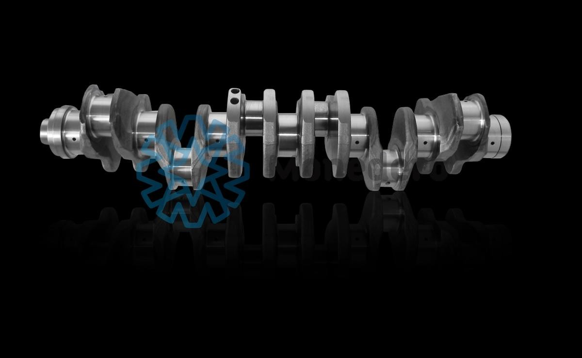 MONEDERO Albero motore 10011000029 MONEDERO 10011000029 Albero motore Mercedes W124 originale prezzo