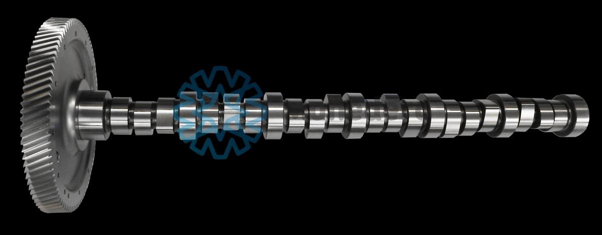 MONEDERO Camshaft 10013000035 Citroen C3 MONEDERO camshaft 10013000035