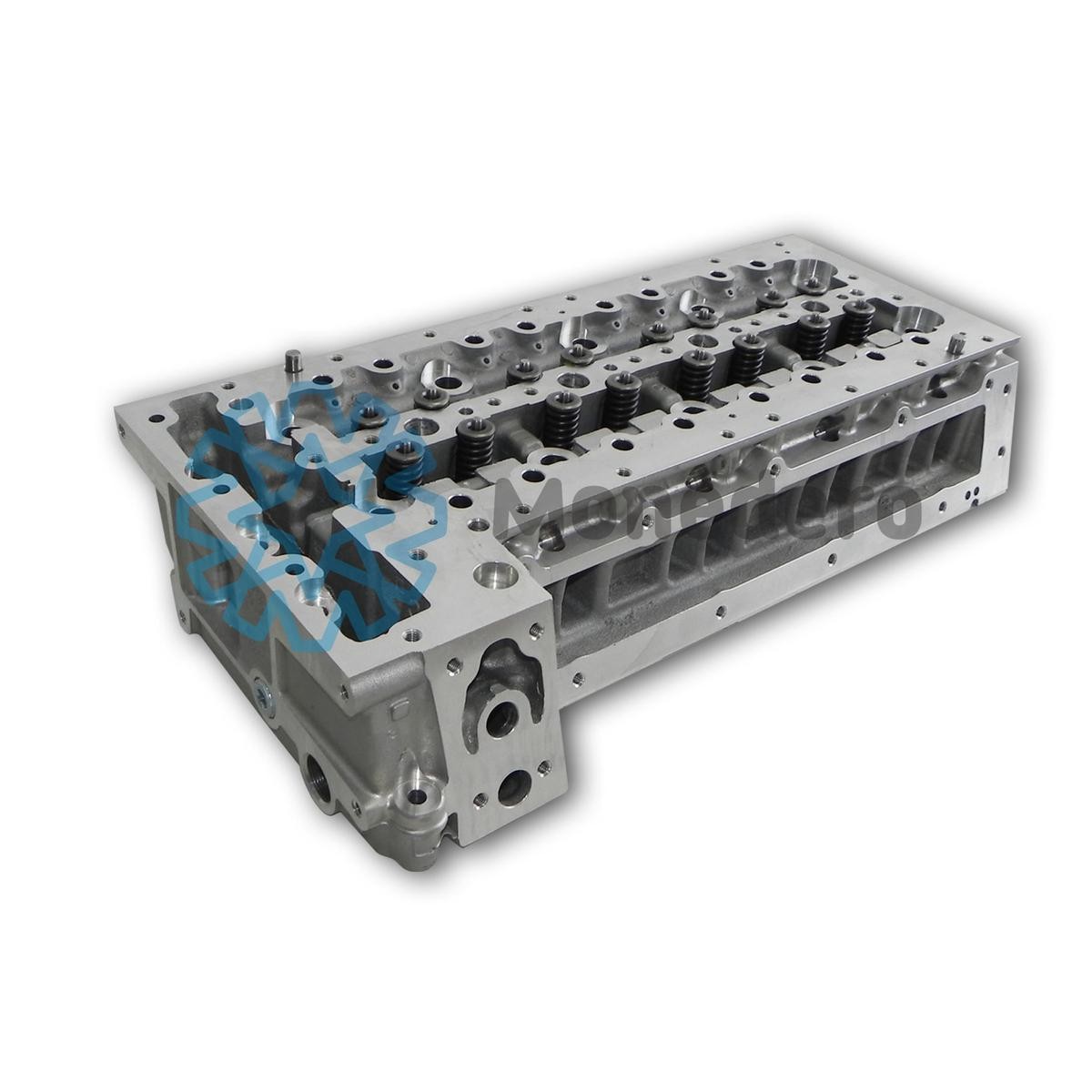 MONEDERO Testata motore 30012100008 30012100008 Testata MONEDERO FORD ESCORT costo