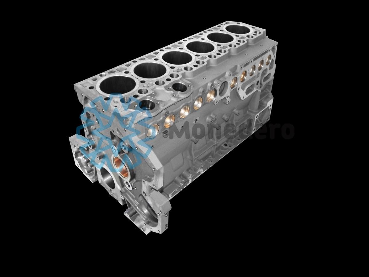 MONEDERO Cárter da cambota 50010000001 Bloco cilindro motor MONEDERO Volkswagen POLO 50010000001