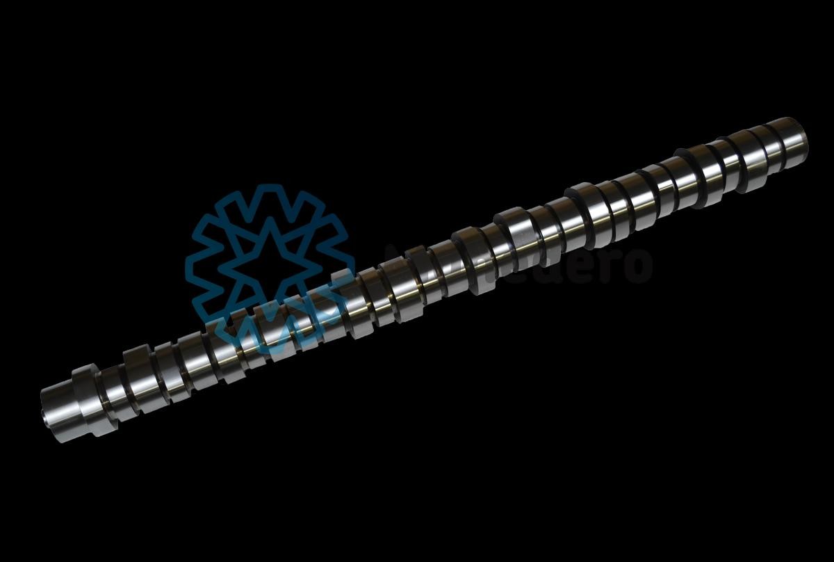 MONEDERO Camshaft 50013000014 CITROЁN C3 MONEDERO camshaft 50013000014