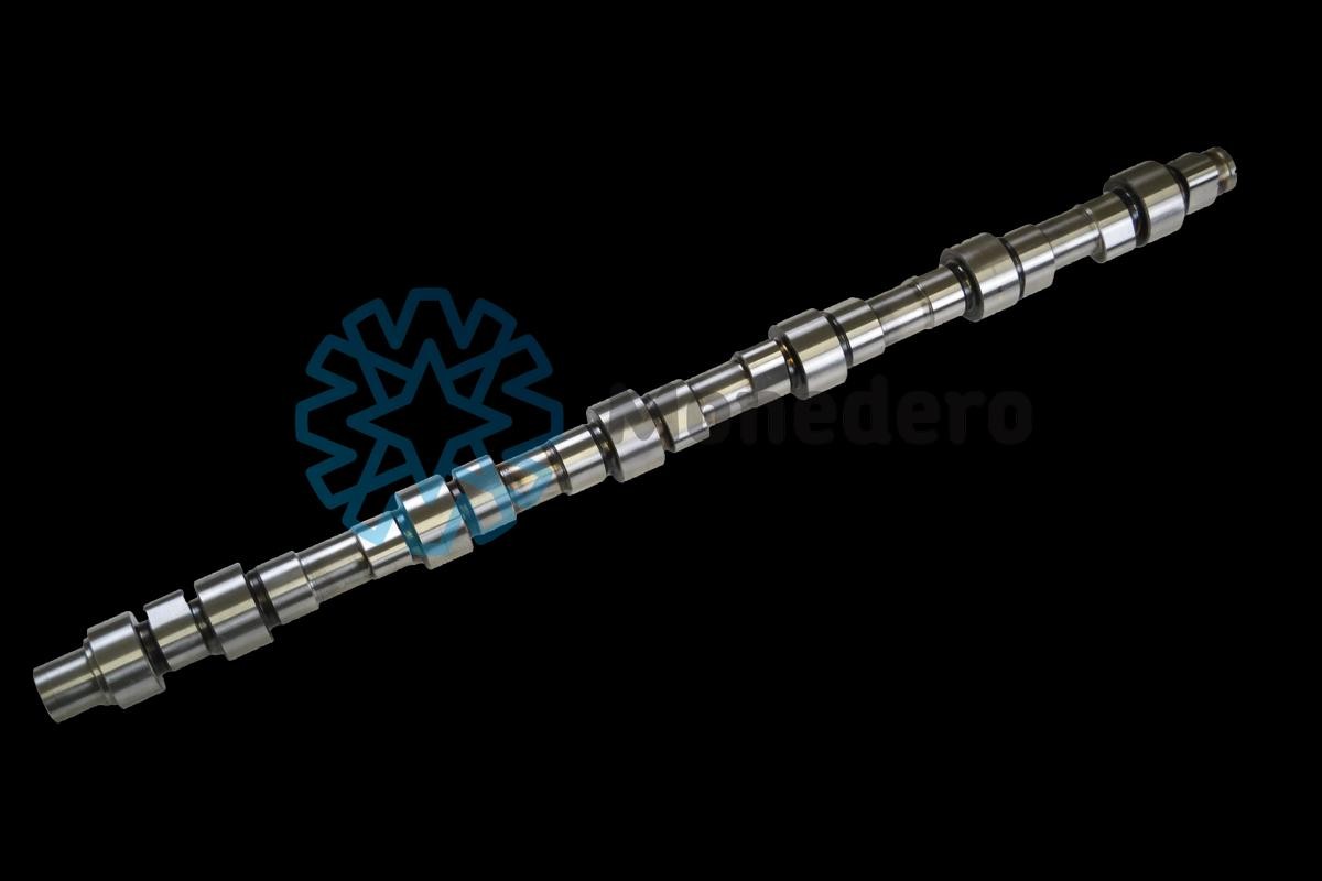 MONEDERO Camshaft 60013000001 CITROЁN C3 MONEDERO camshaft 60013000001
