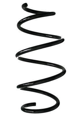 SPIDAN Chassisveer 88136 Schroefveren SPIDAN COUPE 88136 goedkoop