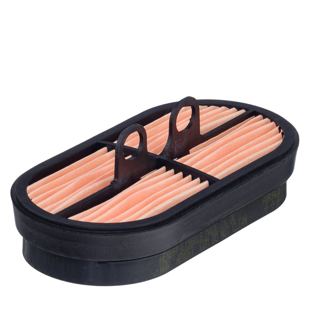 HENGST FILTER Sekundärluftfilter E1561LS E1561LS HENGST FILTER sekundärluftfilter Renault 19