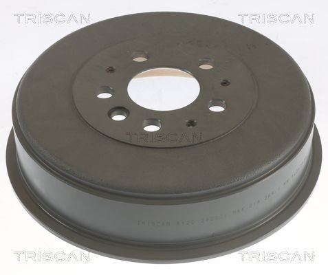 TRISCAN Bremsetromle 8120 29202C Bremsetromler TRISCAN Volkswagen POLO 8120 29202C