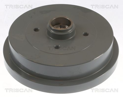 TRISCAN Bremsetromle 8120 29224C Bremsetromler TRISCAN Volkswagen POLO 8120 29224C