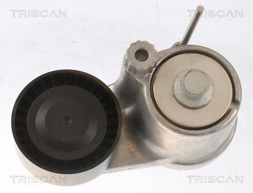 TRISCAN Τεντωτήρας ιμάντα, ιμάντας poly-V 8641 103058 8641 103058 TRISCAN Βραχίονας σύσφιγξης CUPRA φθηνά