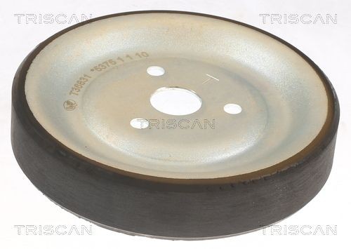 TRISCAN Styrrulle, drivrem 8646 10233 8646 10233 TRISCAN löprulle drivrem OPEL CROSSLAND X