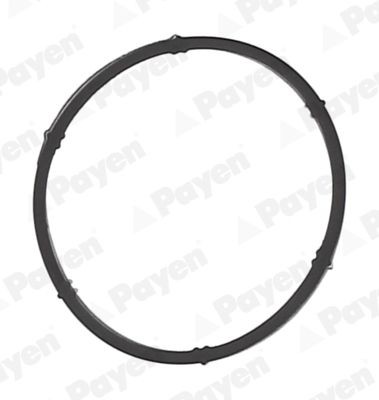 PAYEN Tetning, innsugningsmanifold JD6171 JD6171 Innsugsmanifold pakning PAYEN JAGUAR X-TYPE