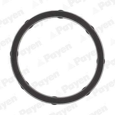 PAYEN Inlet manifold gasket JD6172 JD6172 PAYEN inlet manifold gasket DAEWOO NUBIRA