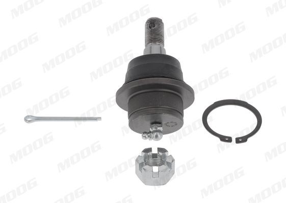 MOOG Testina braccio oscillante FD-BJ-17292 MOOG FD-BJ-17292 Testina braccio oscillante FORD USA CROWN VICTORIA prezzo