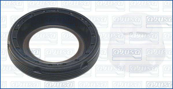 AJUSA Tesniaci krúżok vačkového hriadeľa 15119200 AJUSA 15119200 Tesniaci krúżok vačkového hriadeľa Golf VIII Variant originálne cena