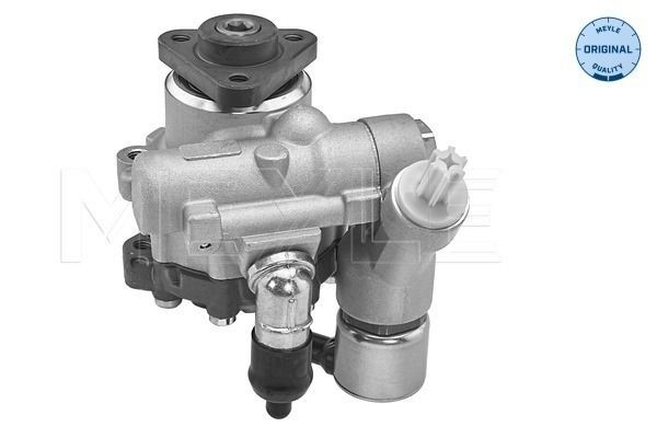 Servopump MEYLE 314 631 0042 MEYLE 314 631 0042: Hydraulpump BMW Z4 2018
