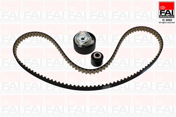FAI AutoParts Hammashihnasarja TBK565 TBK565 FAI AutoParts Jakohihnasarja Hyundai TERRACAN hinta