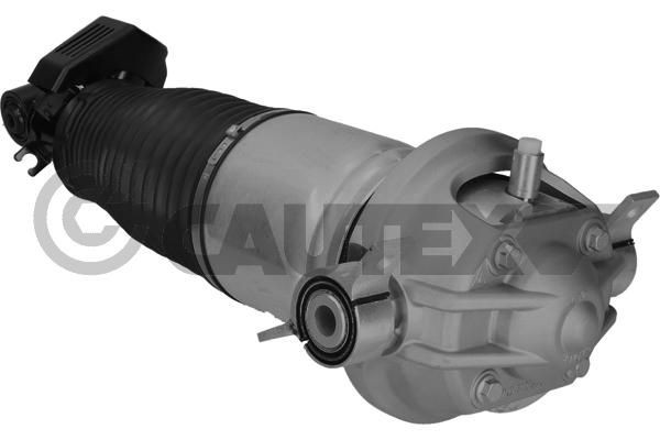 CAUTEX Pneimoatsperes statnis 752020 auto Pneimo piekare CAUTEX 752020 pirkt