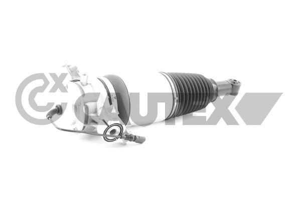 CAUTEX Pneimoatsperes statnis 752123 CAUTEX Pneimo piekare 752123 pieredze