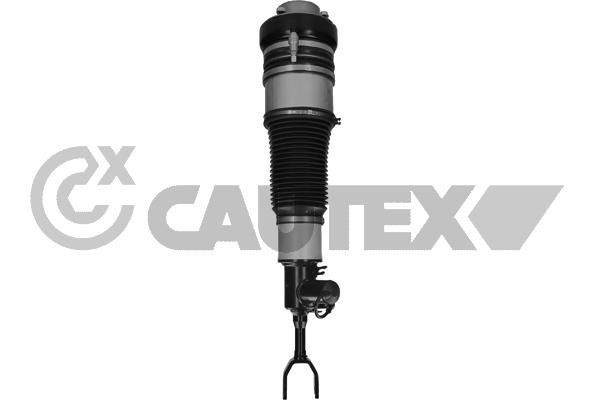CAUTEX Pneimoatsperes statnis 752167 CAUTEX Pneimo piekare 752167 atsauksmes