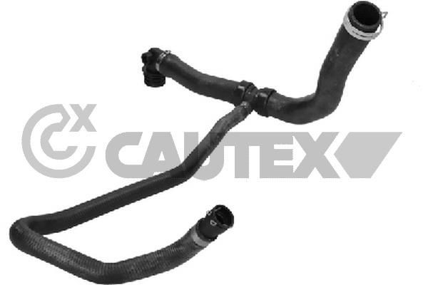 CAUTEX Jäähdyttimen letku 767314 767314 CAUTEX Jäähdytinletkut PEUGEOT 307