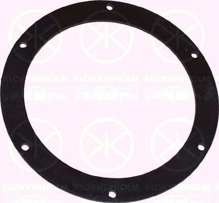 KLOKKERHOLM Guarnizione, Sensore livello carburante 34320092 34320092 Guarnizione, sensore livello carburante KLOKKERHOLM Dacia