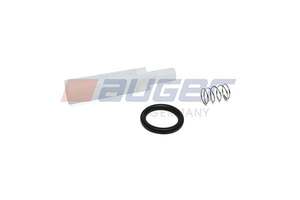 AUGER Reparatieset, brandstofpomp 99419 Reparatieset brandstofpomp AUGER VENTO 99419 goedkoop