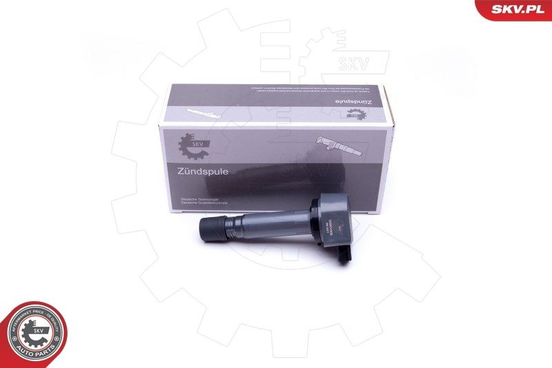 ESEN SKV Πολλαπλασιαστής 03SKV308 Πολλαπλασιαστής ESEN SKV CR-V 03SKV308 φθηνά
