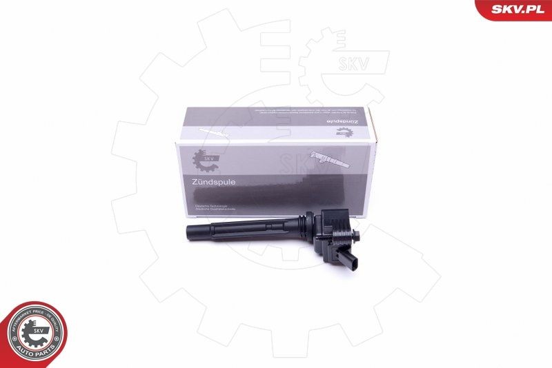 ESEN SKV Bobine 03SKV318 ESEN SKV 03SKV318 Bobine KIA XCEED kosten