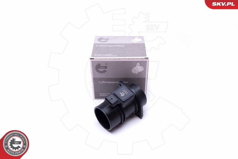Μετρητής μάζας αέρα ESEN SKV 07SKV176 ESEN SKV 07SKV176 Αισθητήρας µάζας αέρος DACIA LOGAN 2020