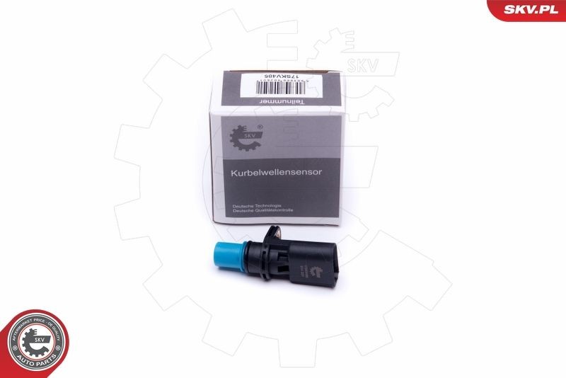 ESEN SKV Sensor, kamakselposisjon 17SKV485 Sensor kamakselposisjon ESEN SKV PUNTO 17SKV485 billige