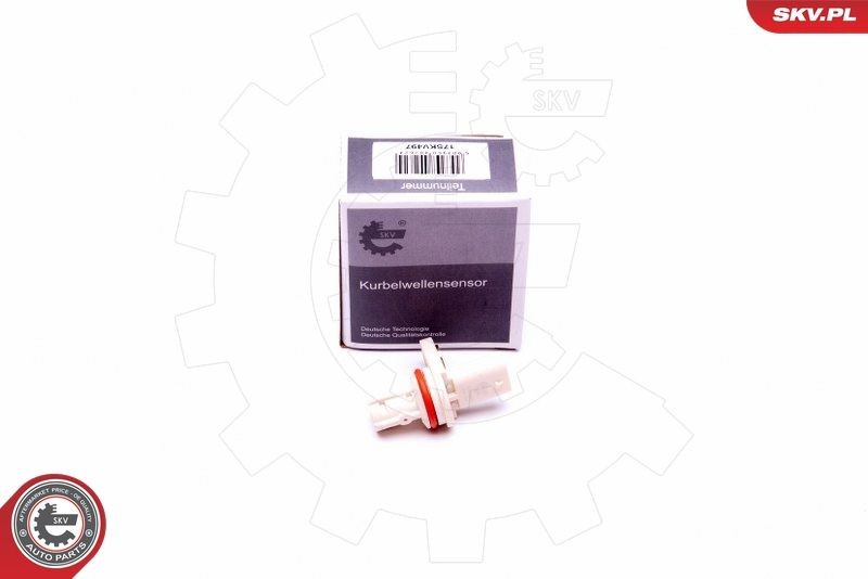 ESEN SKV Andur, Nukkvõllipositsioon 17SKV497 Nukkvõlli asendi andur ESEN SKV Ford TRANSIT CONNECT 17SKV497