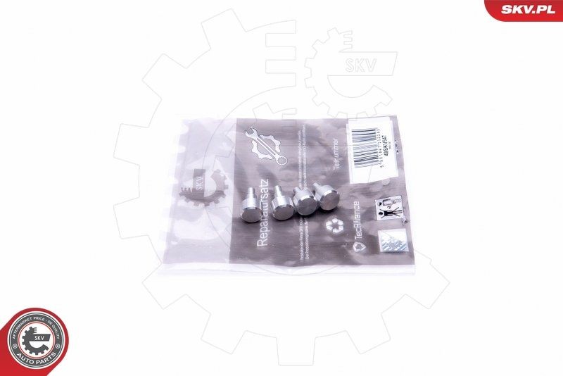 ESEN SKV Kit riparazione, modulo collettore aspirazione 49SKV547 ESEN SKV 49SKV547 Guarnizione collettore aspirazione DBS Volante prezzo