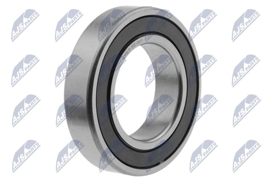 NTY Kardanwellenlager NLP-RE-001 NLP-RE-001 NTY Renault Scenic 1 Mittellager, Kardanwelle Preis