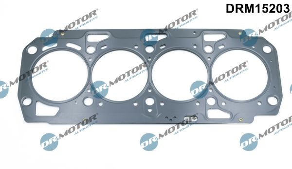 DR.MOTOR AUTOMOTIVE Φλάντζα, κεφαλή κυλίνδρου DRM15203 DR.MOTOR AUTOMOTIVE DRM15203 Φλάντζα, κεφαλή κυλίνδρου