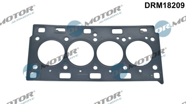 Toppakning DR.MOTOR AUTOMOTIVE DRM18209 DR.MOTOR AUTOMOTIVE DRM18209: Topstykke pakning Renault VEL SATIS 2002